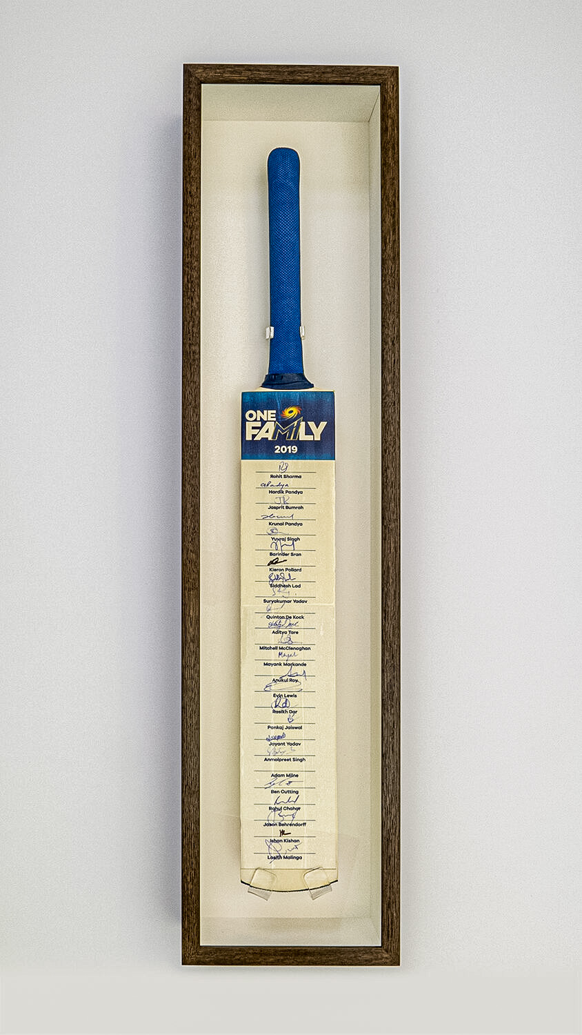 CRICKET BAT 1