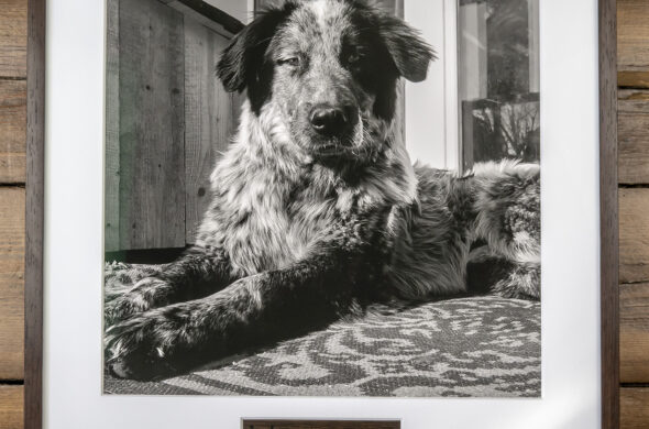 How to print and display monochrome pictures