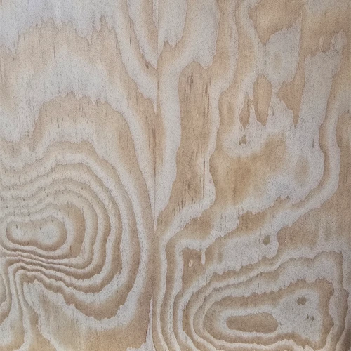 close-up of Douglas Fir wood grain pattern